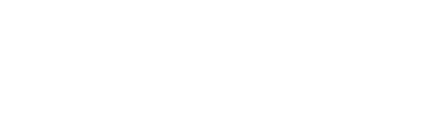 velocity_white