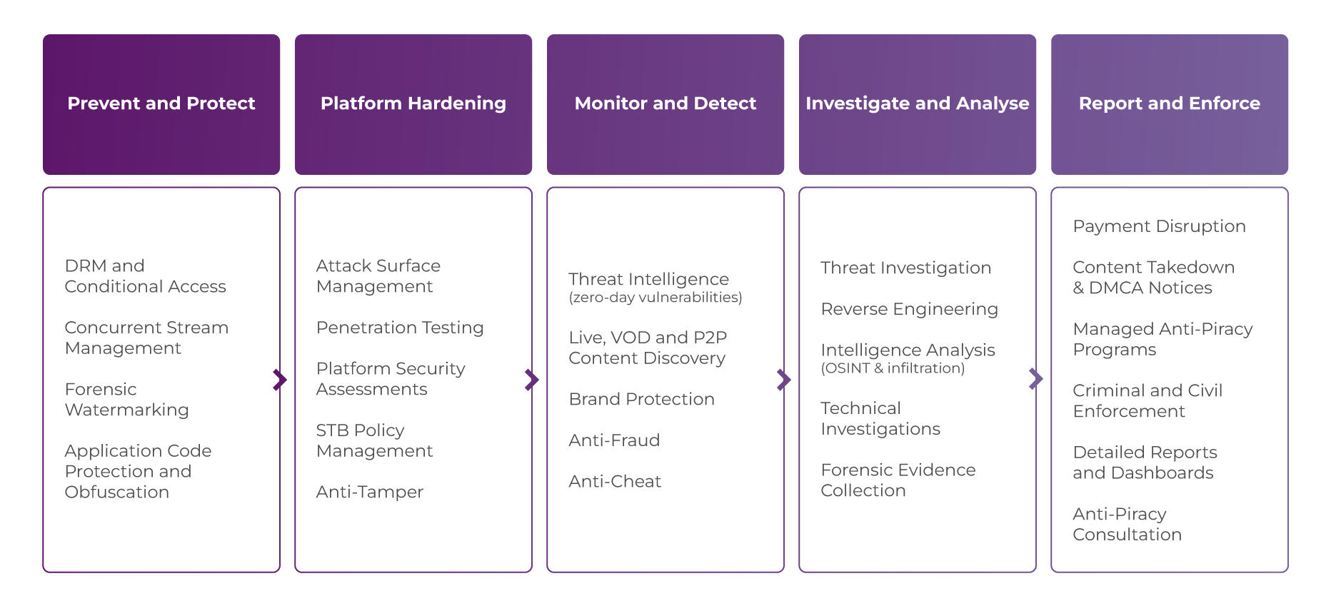 OPD diagram anti-piracy overview